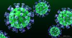 Corona Virus