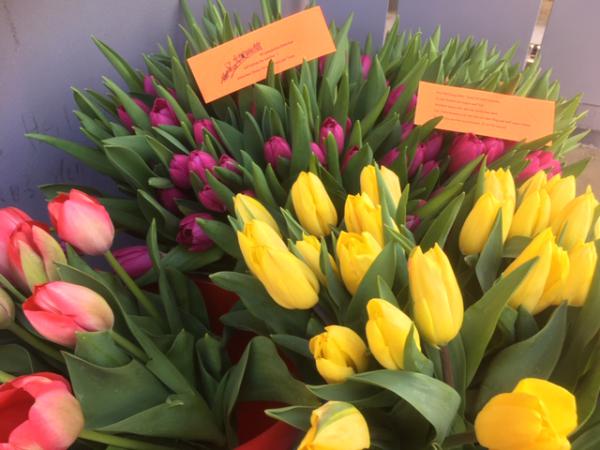 Ostergruss Blumen